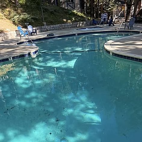 Clear freeform backyard pool after ASJEM Pools cleaning