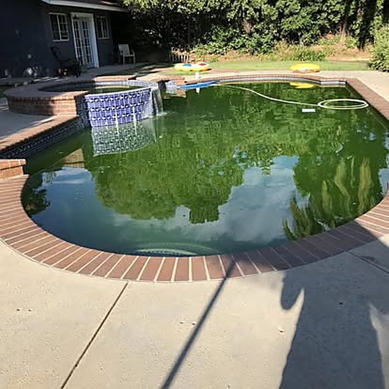 Green, algae-covered rectangular pool with fountain feature before ASJEM Pools cleaning