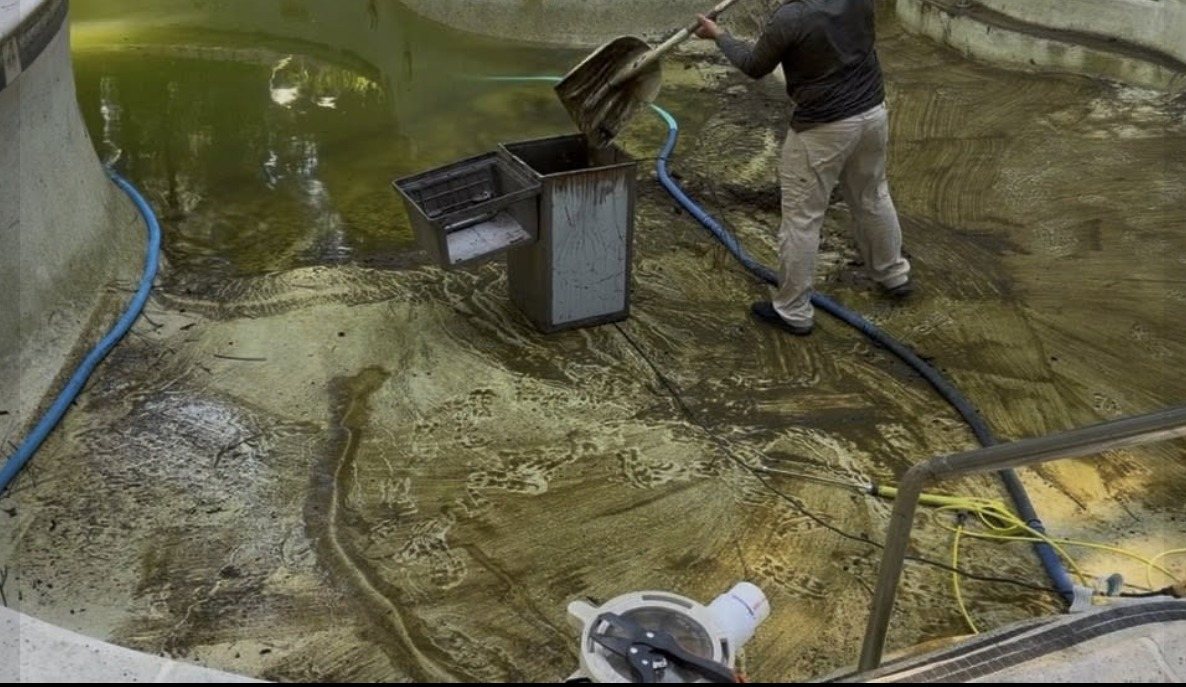A pool thick with green algae and sludge before ASJEM Pools cleaned it